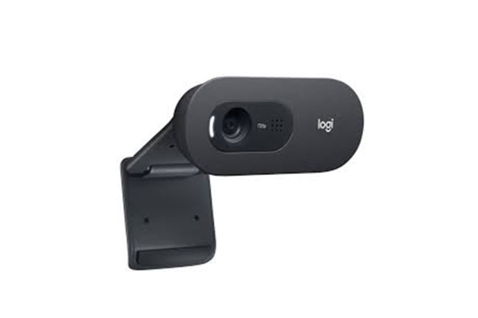 logitech-c505-hd-webcam-2-years-warranty-big-2
