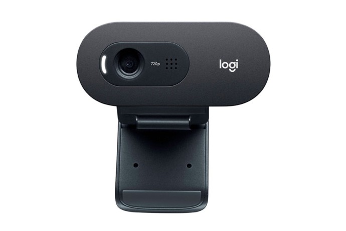 logitech-c505-hd-webcam-2-years-warranty-big-0