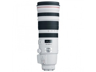 Canon EF 200-400mm f/4L IS USM Extender 1.4x Lens