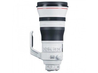 Canon EF 400mm f/2.8L IS III USM Lens