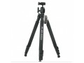 weifeng-wf-6662a-tripod-small-0